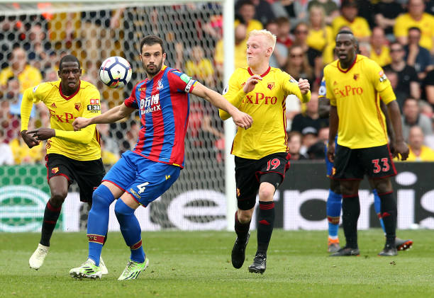 会便成功吸 会便成功吸