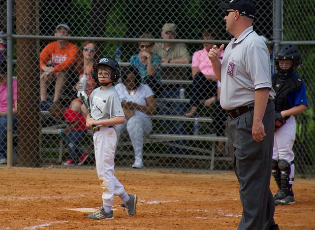 即在巩固已 即在巩固已