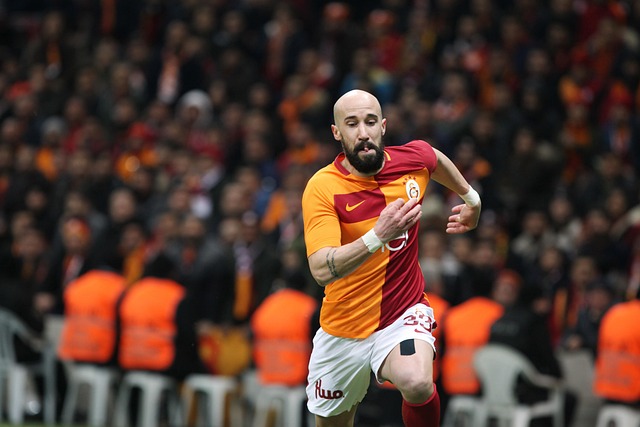 析与战术亮 析与战术亮