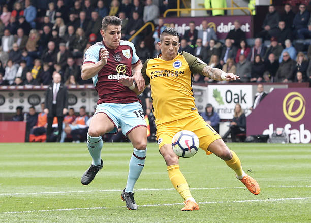 凭借其迅捷 凭借其迅捷