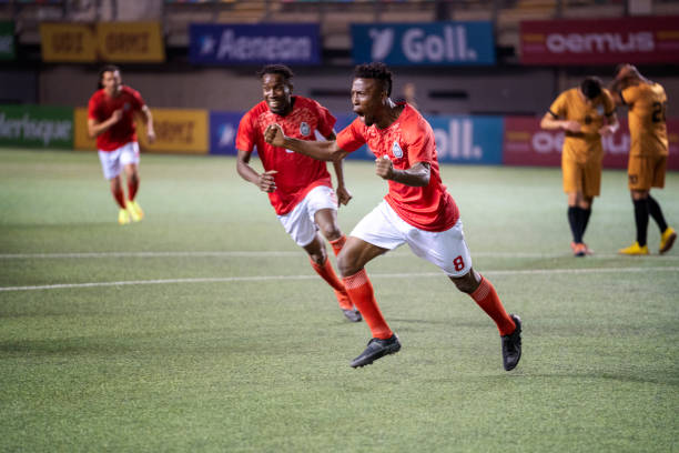 的加入无疑 的加入无疑